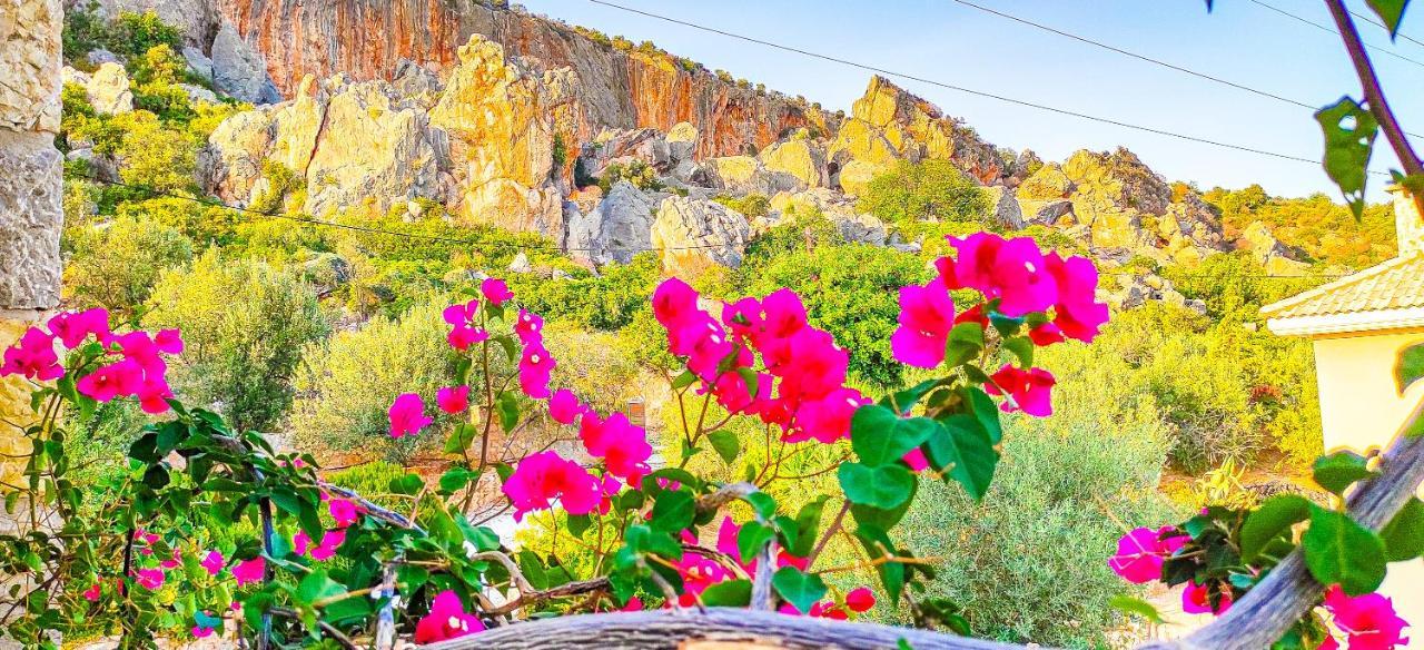 Avatonblue Villa Nafplio Vivári Exteriér fotografie